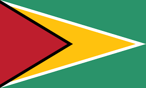 LATAM guyana