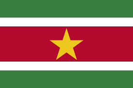 LATAM suriname